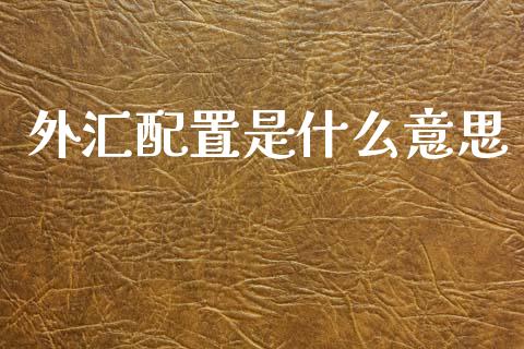 外汇配置是什么意思_https://wap.lxcailiao.com_财务管理_第1张