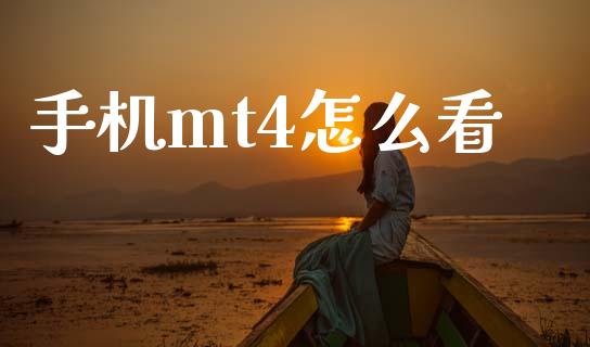 手机mt4怎么看_https://wap.lxcailiao.com_股权投资_第1张