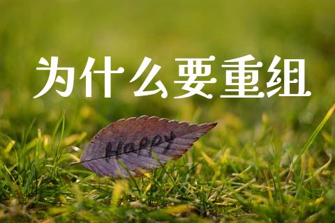 为什么要重组_股权投资_第1张_金融监管_融资担保_财务管理_股权投资 为什么要重组_https://wap.lxcailiao.com_股权投资_第1张