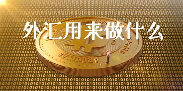 外汇用来做什么_https://wap.lxcailiao.com_股权投资_第1张