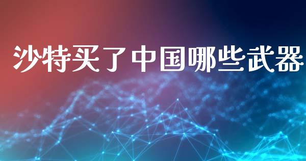 沙特买了中国哪些武器_https://wap.lxcailiao.com_融资担保_第1张