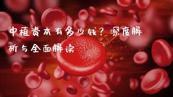中植资本有多少钱？深度解析与全面解读_https://wap.lxcailiao.com_金融监管_第1张