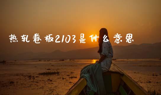 热轧卷板2103是什么意思_https://wap.lxcailiao.com_融资担保_第1张