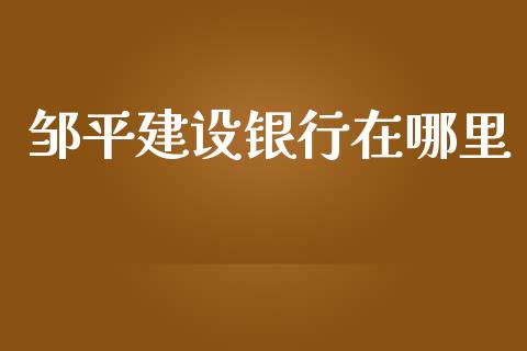 邹平建设银行在哪里_https://wap.lxcailiao.com_金融监管_第1张