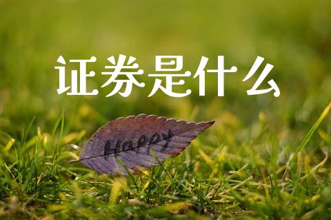 证券是什么_https://wap.lxcailiao.com_融资担保_第1张