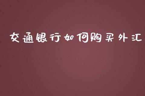 交通银行如何购买外汇_https://wap.lxcailiao.com_融资担保_第1张