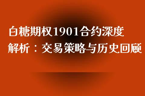 白糖期权1901合约深度解析：交易策略与历史回顾_https://wap.lxcailiao.com_金融监管_第1张