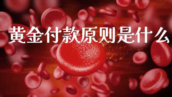 黄金付款原则是什么_https://wap.lxcailiao.com_金融监管_第1张