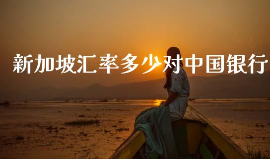 新加坡汇率多少对中国银行_https://wap.lxcailiao.com_财务管理_第1张