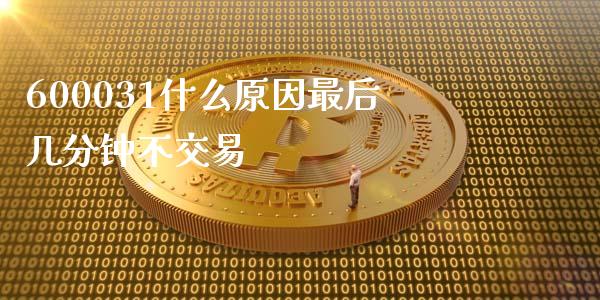 600031什么原因最后几分钟不交易_https://wap.lxcailiao.com_融资担保_第1张