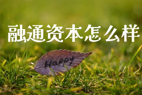 融通资本怎么样_https://wap.lxcailiao.com_财务管理_第1张