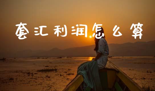 套汇利润怎么算_https://wap.lxcailiao.com_融资担保_第1张