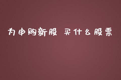 为申购新股 买什么股票_https://wap.lxcailiao.com_金融监管_第1张