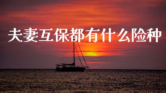 夫妻互保都有什么险种_https://wap.lxcailiao.com_股权投资_第1张