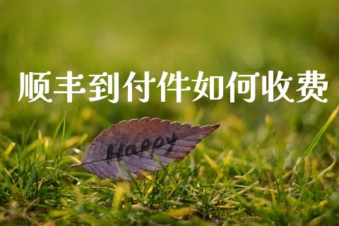 顺丰到付件如何收费_https://wap.lxcailiao.com_金融监管_第1张