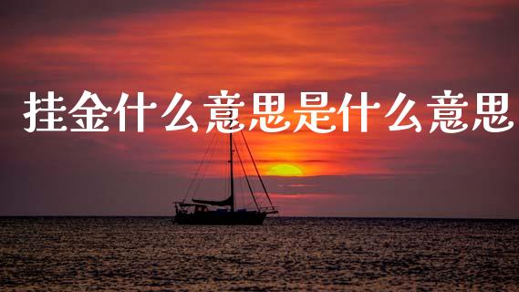 挂金什么意思是什么意思_https://wap.lxcailiao.com_财务管理_第1张