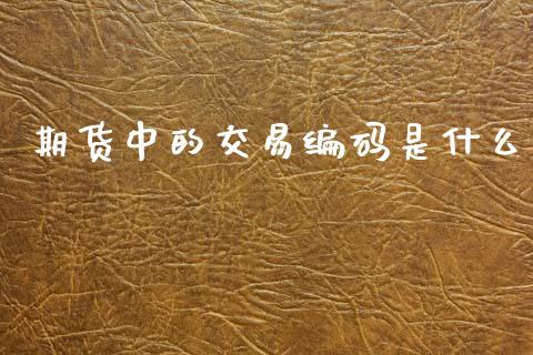 期货中的交易编码是什么_https://wap.lxcailiao.com_融资担保_第1张