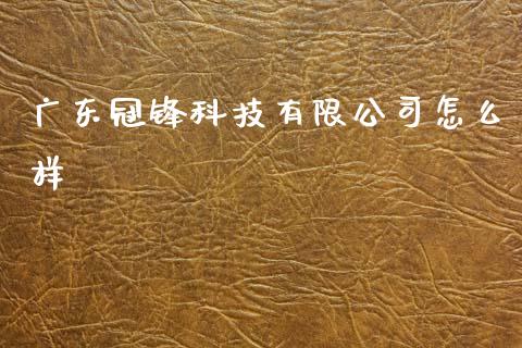 广东冠锋科技有限公司怎么样_https://wap.lxcailiao.com_金融监管_第1张