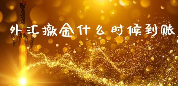 外汇撤金什么时候到账_https://wap.lxcailiao.com_融资担保_第1张