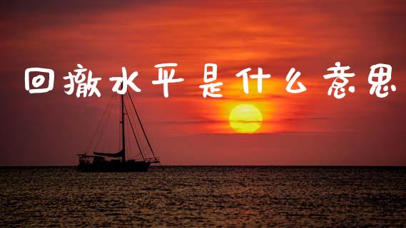 回撤水平是什么意思_https://wap.lxcailiao.com_融资担保_第1张
