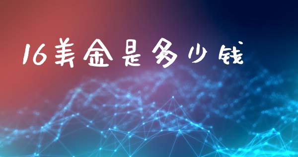 16美金是多少钱_https://wap.lxcailiao.com_融资担保_第1张