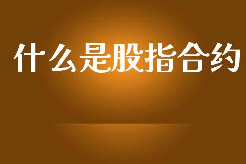 什么是股指合约_https://wap.lxcailiao.com_金融监管_第1张