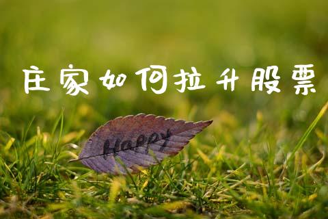 庄家如何拉升股票_https://wap.lxcailiao.com_金融监管_第1张