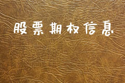 股票期权信息_https://wap.lxcailiao.com_金融监管_第1张