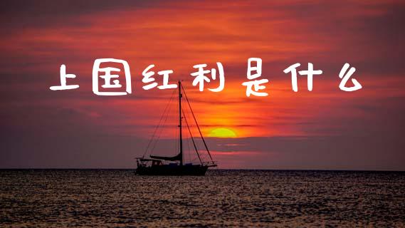 上国红利是什么_https://wap.lxcailiao.com_股权投资_第1张
