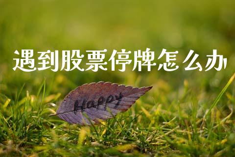 遇到股票停牌怎么办_https://wap.lxcailiao.com_融资担保_第1张