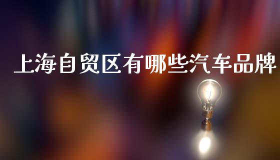 上海自贸区有哪些汽车品牌_https://wap.lxcailiao.com_财务管理_第1张