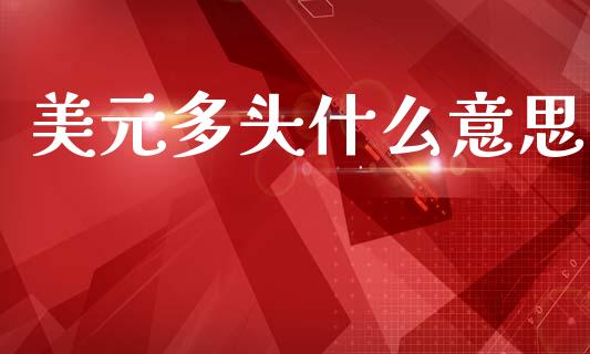 美元多头什么意思_https://wap.lxcailiao.com_股权投资_第1张