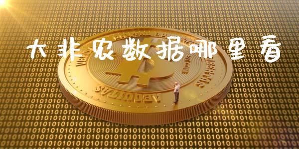 大非农数据哪里看_https://wap.lxcailiao.com_金融监管_第1张