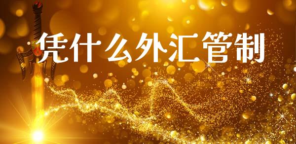 凭什么外汇管制_https://wap.lxcailiao.com_财务管理_第1张