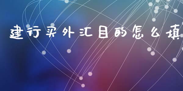建行买外汇目的怎么填_https://wap.lxcailiao.com_股权投资_第1张