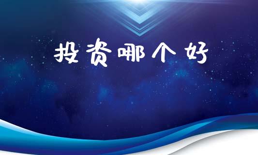 投资哪个好_https://wap.lxcailiao.com_财务管理_第1张