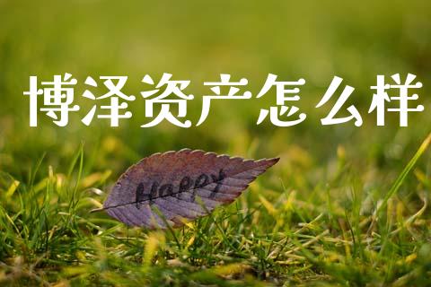 博泽资产怎么样_https://wap.lxcailiao.com_股权投资_第1张
