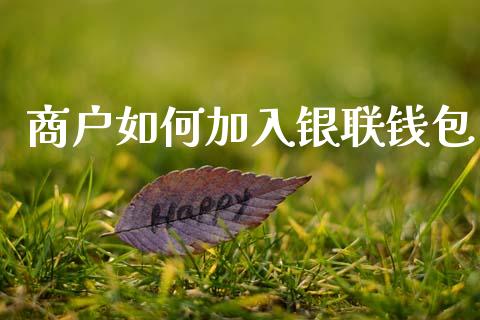 商户如何加入银联钱包_https://wap.lxcailiao.com_股权投资_第1张