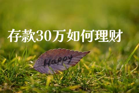 存款30万如何理财_https://wap.lxcailiao.com_股权投资_第1张