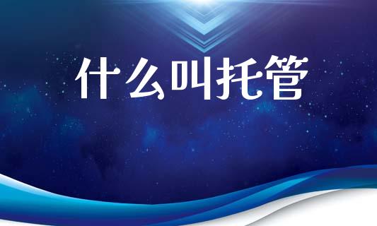 什么叫托管_https://wap.lxcailiao.com_融资担保_第1张