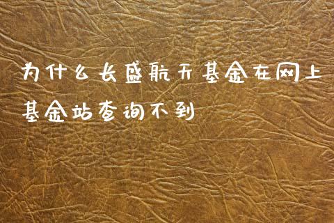 为什么长盛航天基金在网上基金站查询不到_https://wap.lxcailiao.com_股权投资_第1张