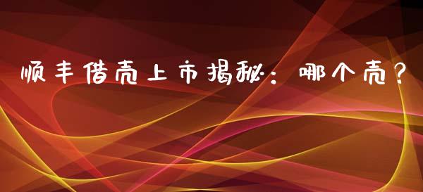 顺丰借壳上市揭秘：哪个壳？_https://wap.lxcailiao.com_股权投资_第1张