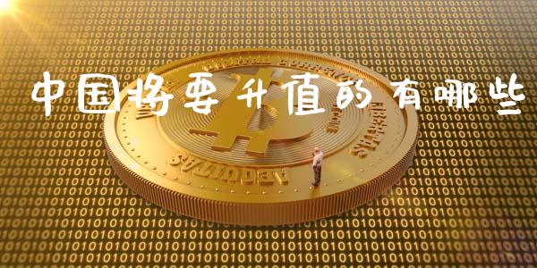 中国将要升值的有哪些_https://wap.lxcailiao.com_融资担保_第1张