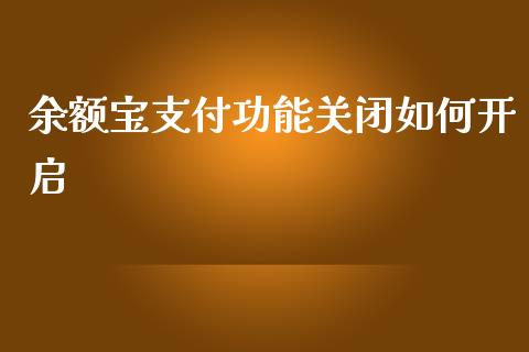 余额宝支付功能关闭如何开启_https://wap.lxcailiao.com_股权投资_第1张