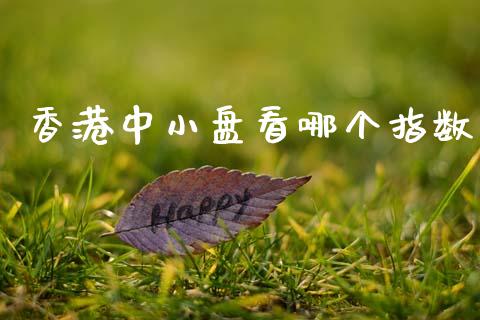 香港中小盘看哪个指数_https://wap.lxcailiao.com_股权投资_第1张