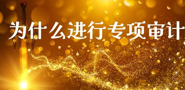 为什么进行专项审计_金融监管_第1张_金融监管_融资担保_财务管理_股权投资 为什么进行专项审计_https://wap.lxcailiao.com_金融监管_第1张
