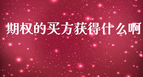 期权的买方获得什么啊_https://wap.lxcailiao.com_股权投资_第1张