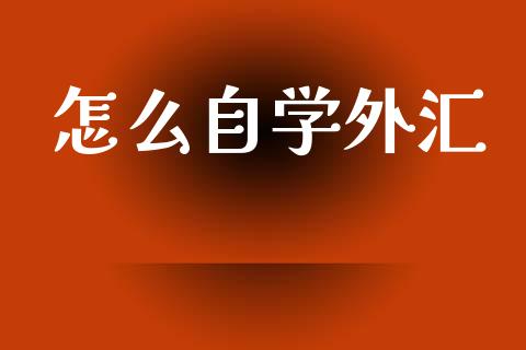 怎么自学外汇_https://wap.lxcailiao.com_金融监管_第1张