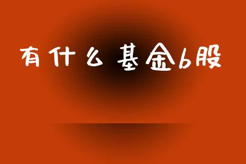 有什么基金b股_https://wap.lxcailiao.com_金融监管_第1张