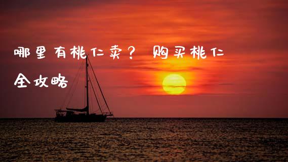 哪里有桃仁卖？ 购买桃仁全攻略_https://wap.lxcailiao.com_金融监管_第1张